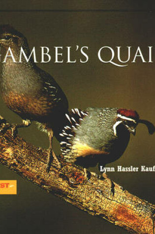 Cover of Gambel's Quail