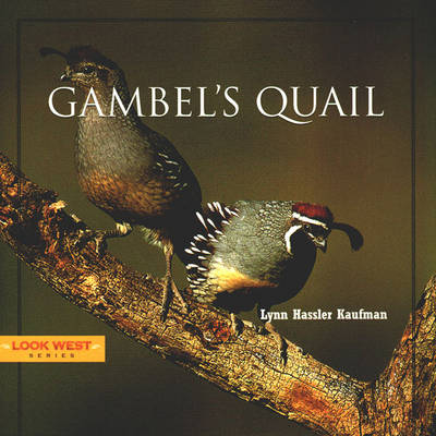 Book cover for Gambel's Quail