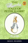 Book cover for The Retold Tale of Peter Rabbit