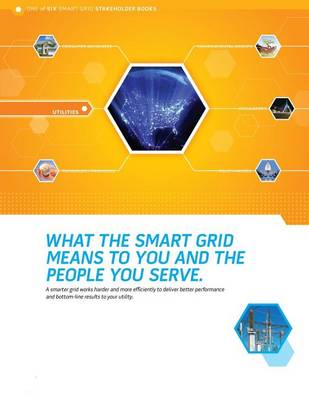 Book cover for What the Smart Grid Means to You and the People You Serve