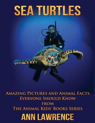 Book cover for Sea Turtles