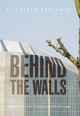 Book cover for Behind the Walls