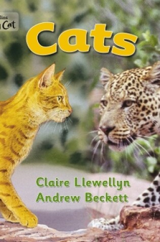 Cover of Cats