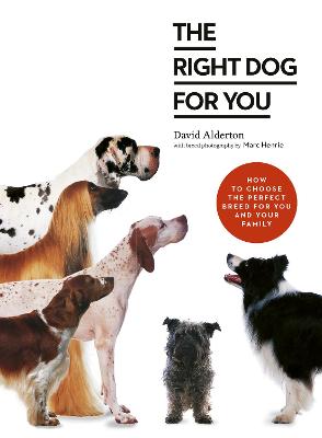 Book cover for The Right Dog for You
