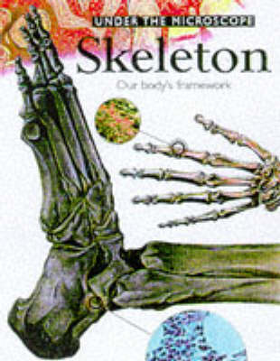 Book cover for The Skeleton