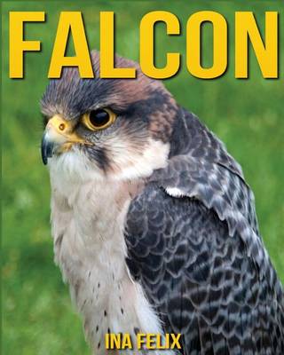 Book cover for Falcon