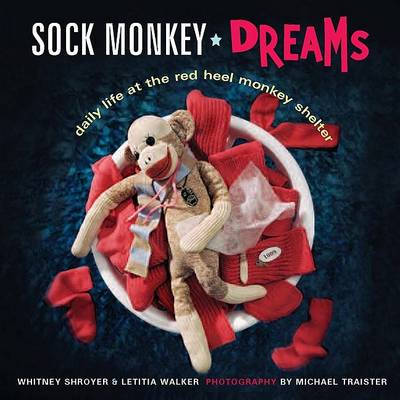 Book cover for Sock Monkey Dreams