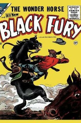 Cover of Black Fury # 4