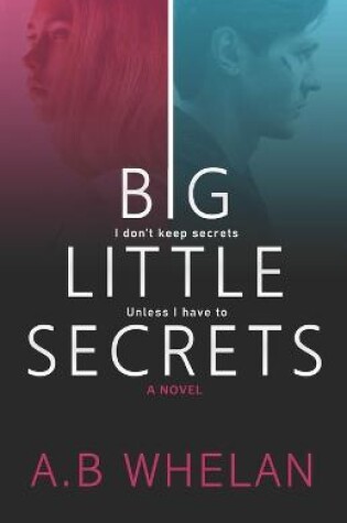 Cover of Big Little Secrets