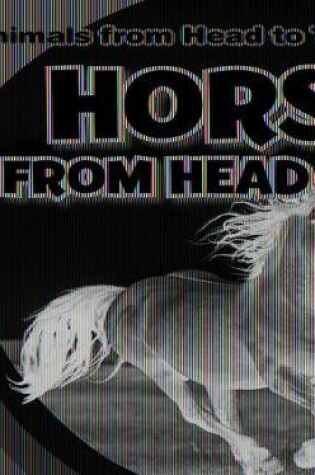 Cover of Horses from Head to Tail