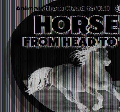 Book cover for Horses from Head to Tail