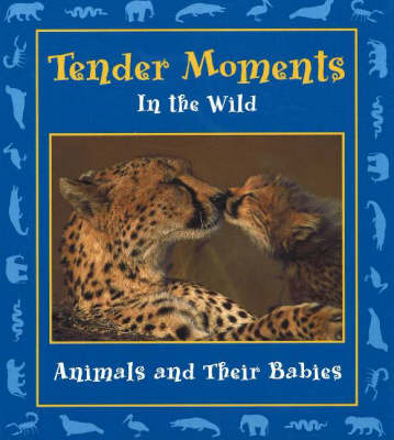 Book cover for Tender Moments in the Wild