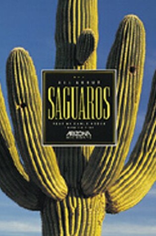 Cover of All about Saguaros