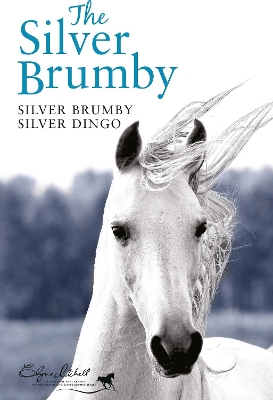 Cover of Silver Brumby, Silver Dingo