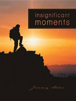 Book cover for Insignificant Moments