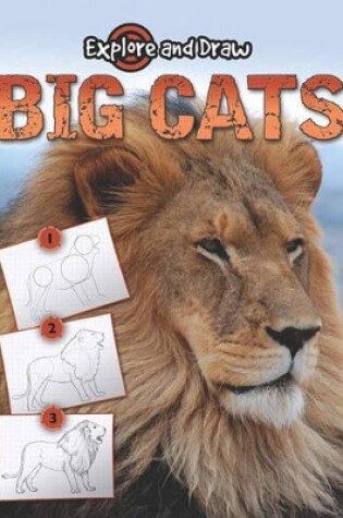 Cover of Big Cats, Drawing and Reading