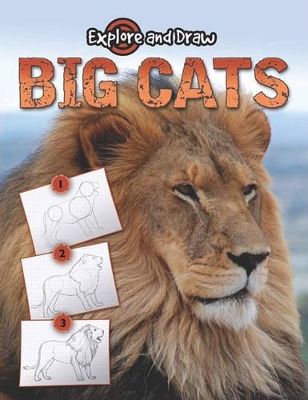 Book cover for Big Cats, Drawing and Reading