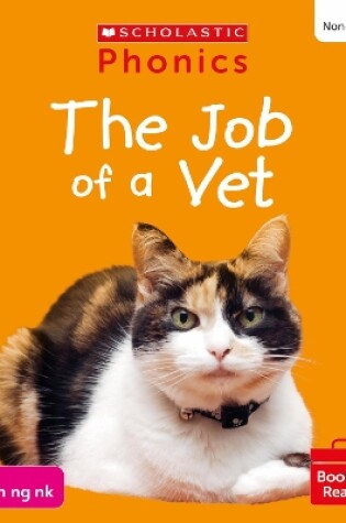 Cover of The Job of a Vet (Set 4) Matched to Little Wandle Letters and Sounds Revised