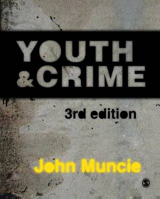 Book cover for Youth and Crime