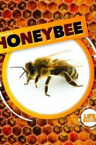 Cover of Life Cycle of a Honeybee