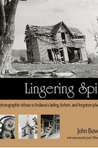 Cover of Lingering Spirit