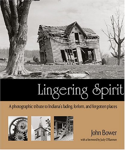 Book cover for Lingering Spirit