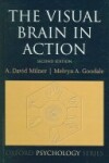 Book cover for The Visual Brain in Action