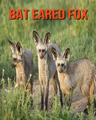 Book cover for Bat Eared Fox