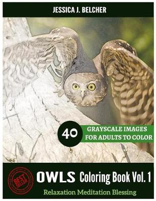 Book cover for Owls Coloring book for Adults Relaxation Vol.1 Meditation Blessing 40 Drawing