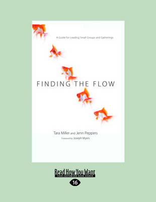 Book cover for Finding the Flow