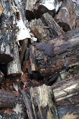 Cover of Journal Fallen Woodpile Split Logs