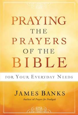 Book cover for Praying the Prayers of the Bible for Your Everyday Needs