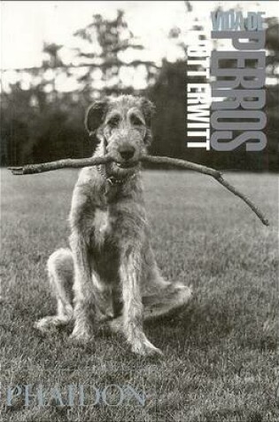 Cover of Vida de Perros / Dog Dogs