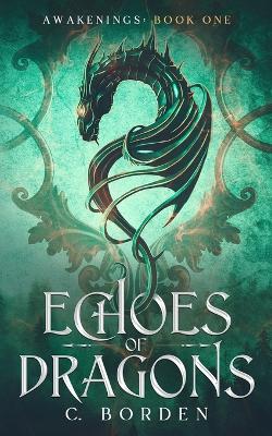 Book cover for Echoes of Dragons