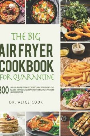 Cover of The Big Air Fryer Cookbook for Quarantine