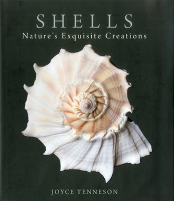 Book cover for Shells