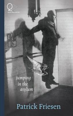 Book cover for Jumping the Asylum