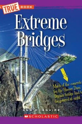 Cover of Extreme Bridges