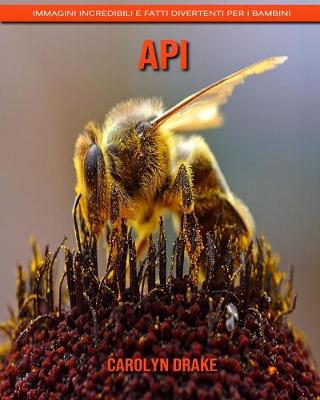 Book cover for Api