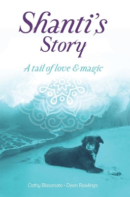 Book cover for Shanti's Story