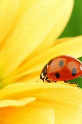 Cover of Ladybug on a Brilliant Yellow Flower