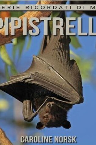 Cover of Pipistrelli