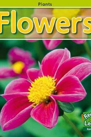 Cover of Flowers