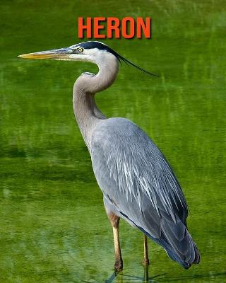 Book cover for Heron