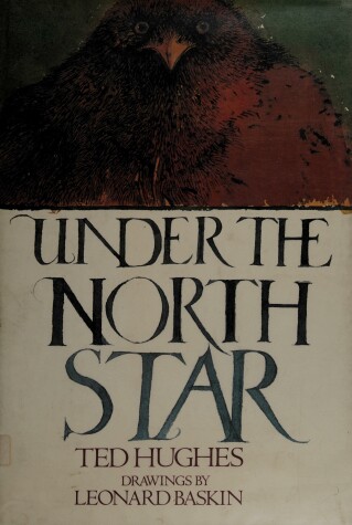 Book cover for Under the North Star