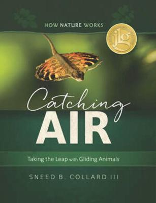 Book cover for Catching Air