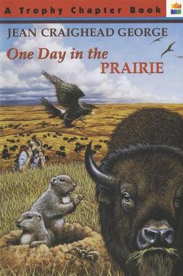 Book cover for One Day in the Prairie