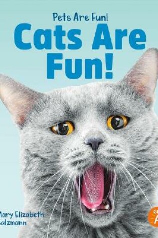 Cover of Cats Are Fun!