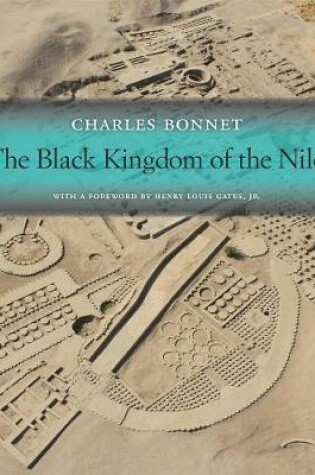 Cover of The Black Kingdom of the Nile