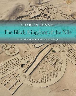 Book cover for The Black Kingdom of the Nile